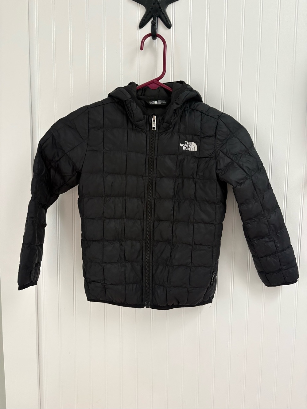 The North Face Kids Black Hooded Puffer Jacket